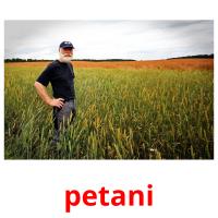 petani picture flashcards