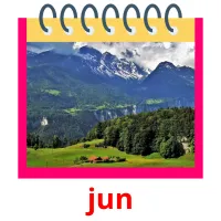 jun picture flashcards