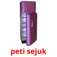 peti sejuk cartões com imagens