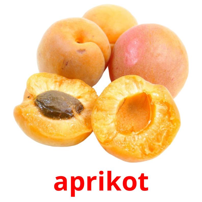 aprikot picture flashcards