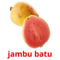 jambu batu picture flashcards