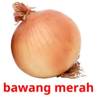 bawang merah Bildkarteikarten