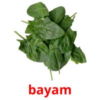 bayam picture flashcards