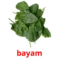 bayam Bildkarteikarten