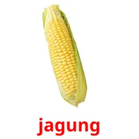 jagung Bildkarteikarten