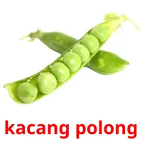 kacang polong Bildkarteikarten