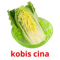 kobis cina flashcards illustrate