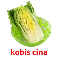 kobis cina Bildkarteikarten