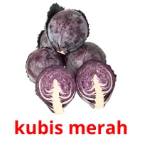 kubis merah Bildkarteikarten