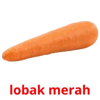 lobak merah Bildkarteikarten