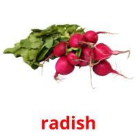 radish card for translate