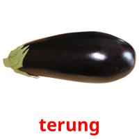 terung picture flashcards