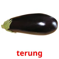 terung Bildkarteikarten