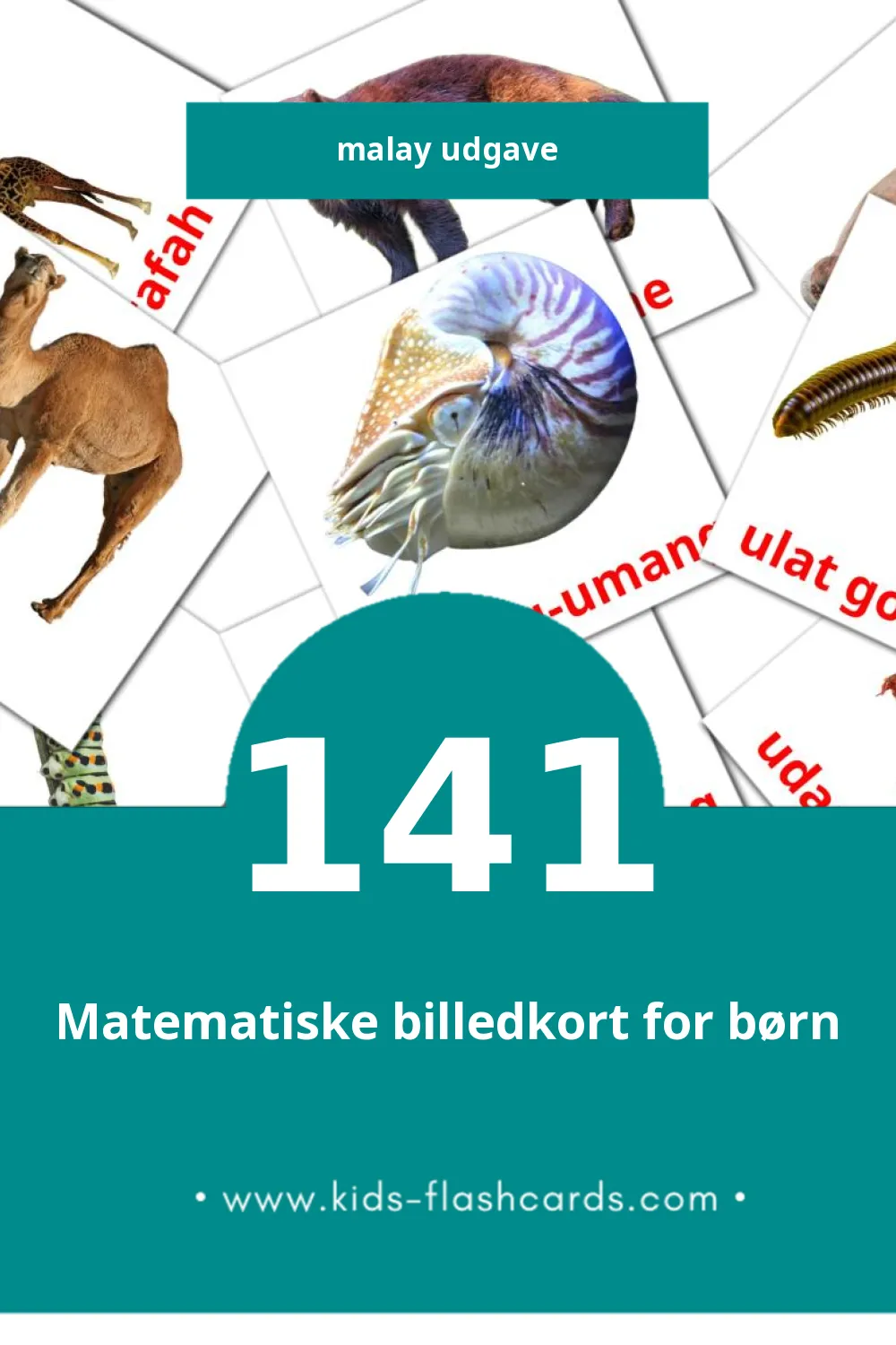 Visuelle billedkort for børn om Haiwan til småbørn (141 kort på Malay)