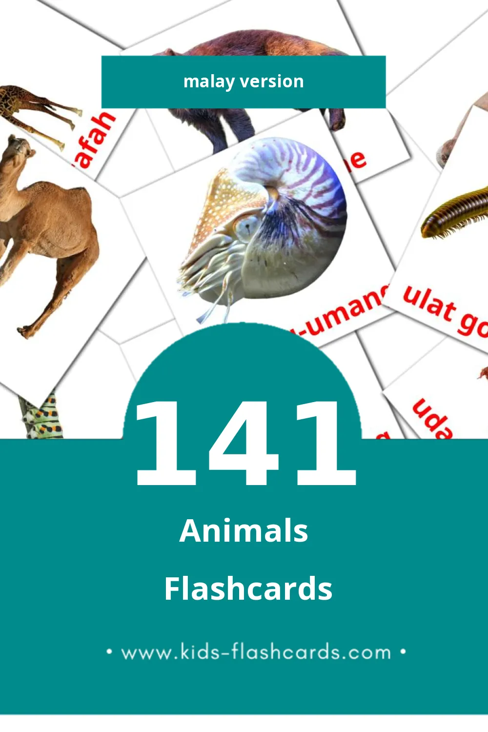 Visual Haiwan Flashcards for Toddlers (141 cards in Malay)