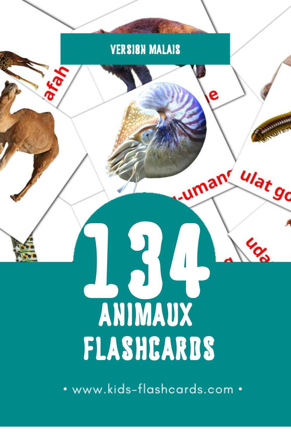Flashcards Visual Haiwan pour les tout-petits (120 cartes en Malais)