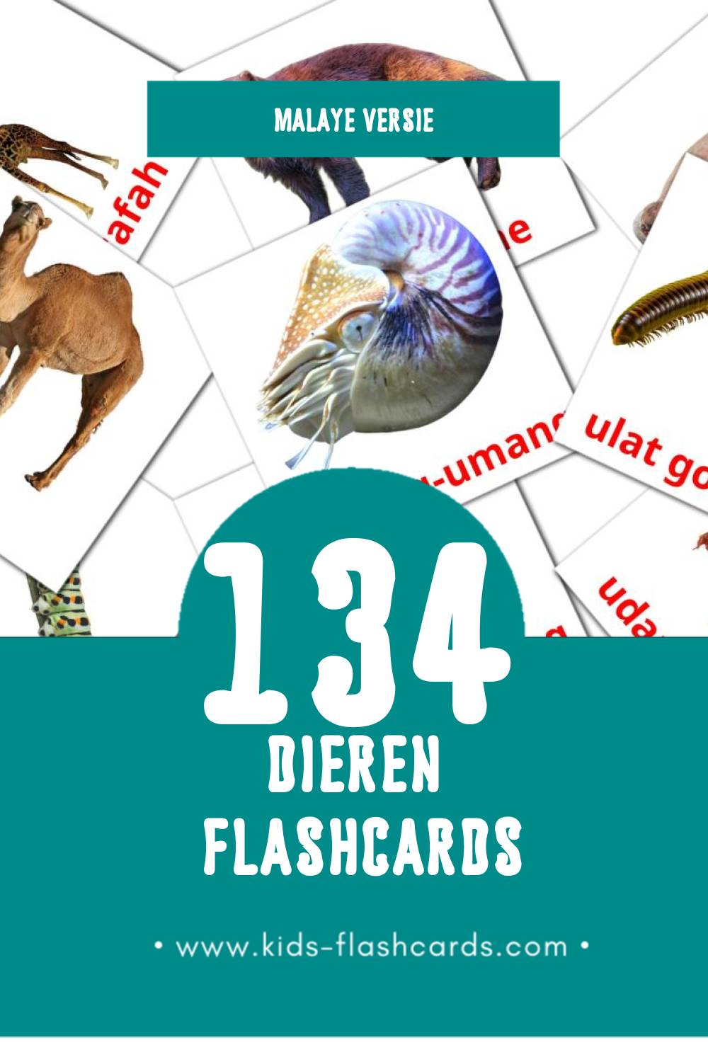 Visuele Haiwan Flashcards voor Kleuters (134 kaarten in het Malay)