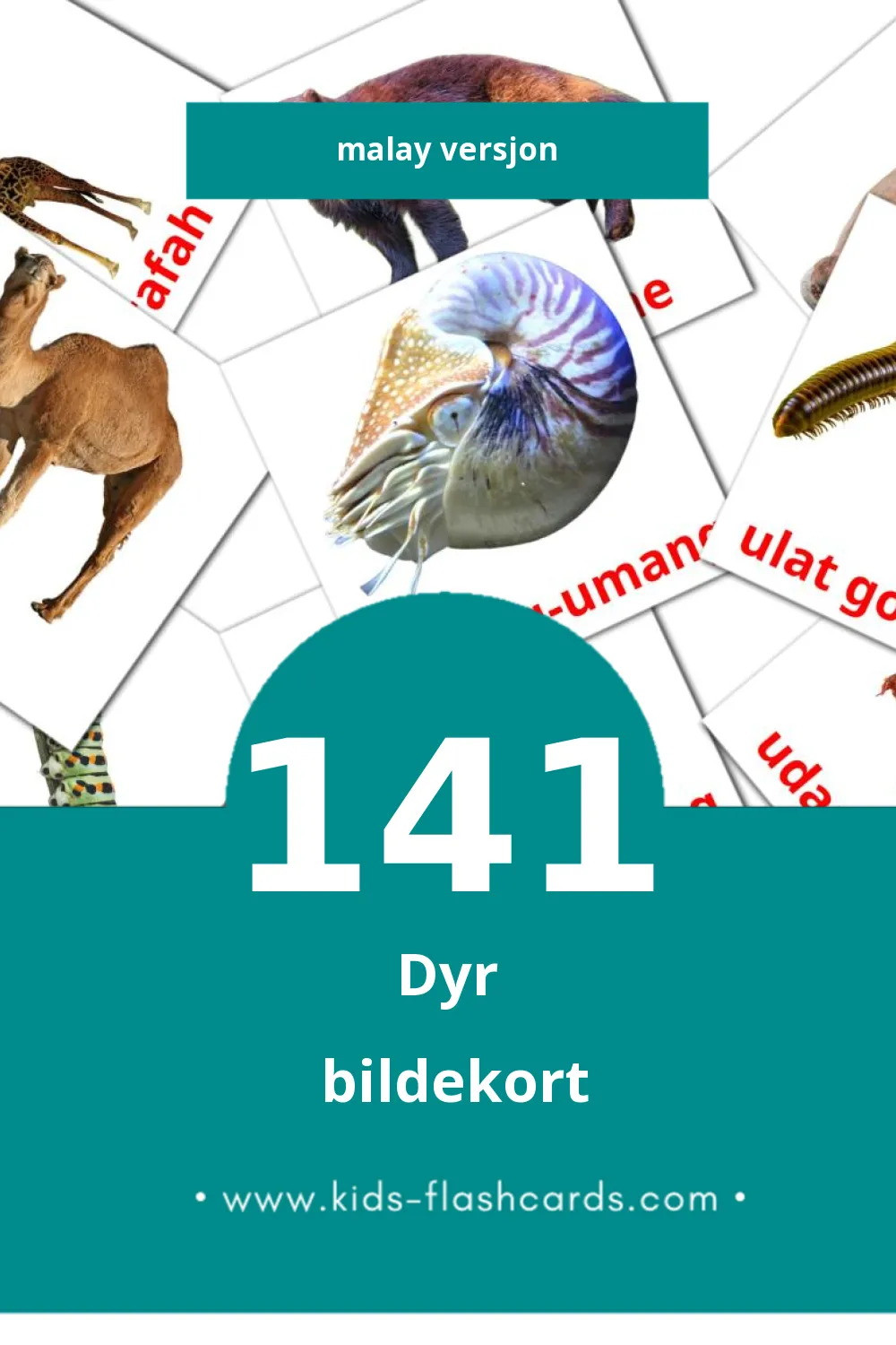 Visuelle Haiwan bildekort for småbarn (141 kort på Malay)