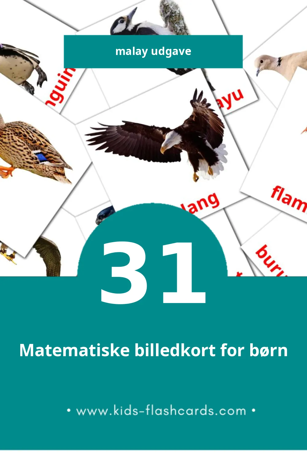 Visuelle billedkort for børn om burung  til småbørn (31 kort på Malay)