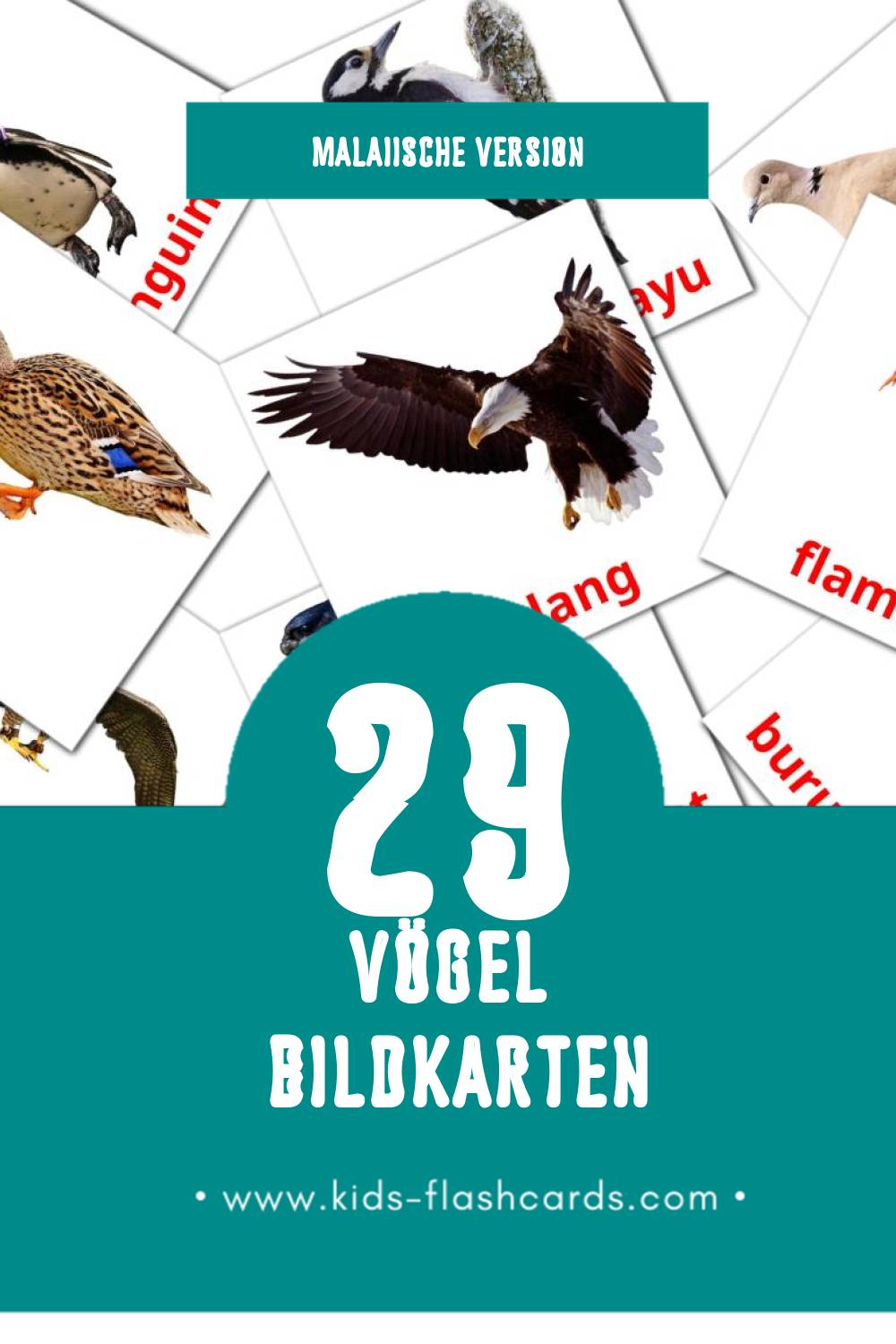 Visual burung  Flashcards für Kleinkinder (29 Karten in Malaiisch)