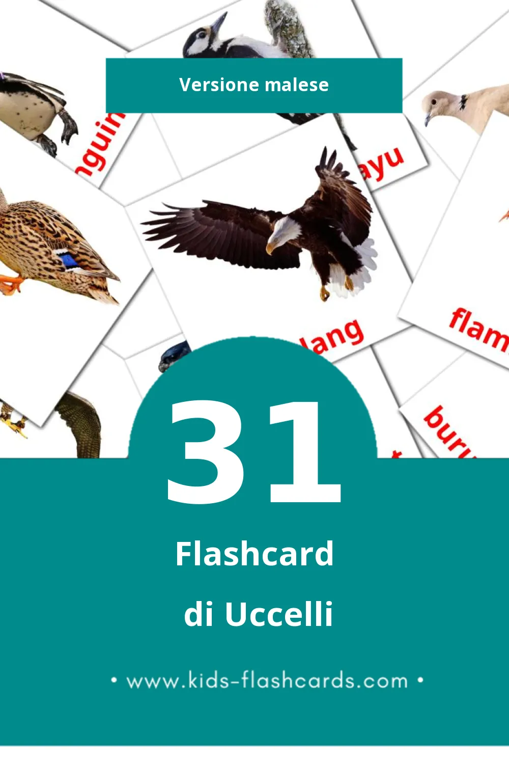 Schede visive sugli burung  per bambini (31 schede in Malese)