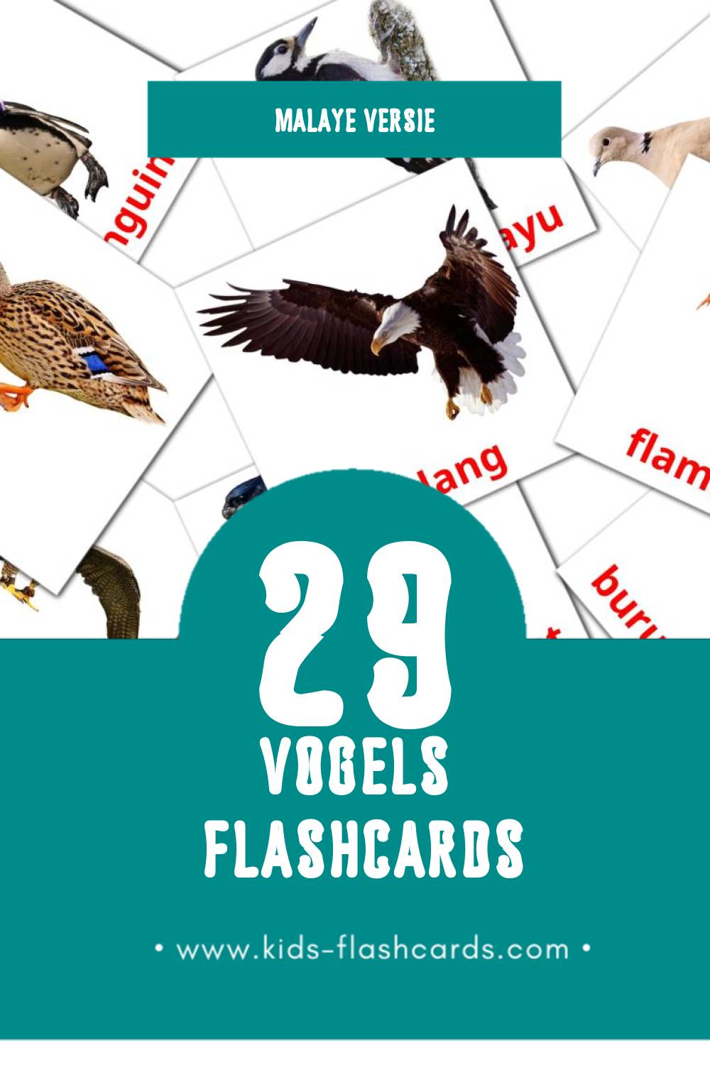Visuele burung  Flashcards voor Kleuters (29 kaarten in het Malay)