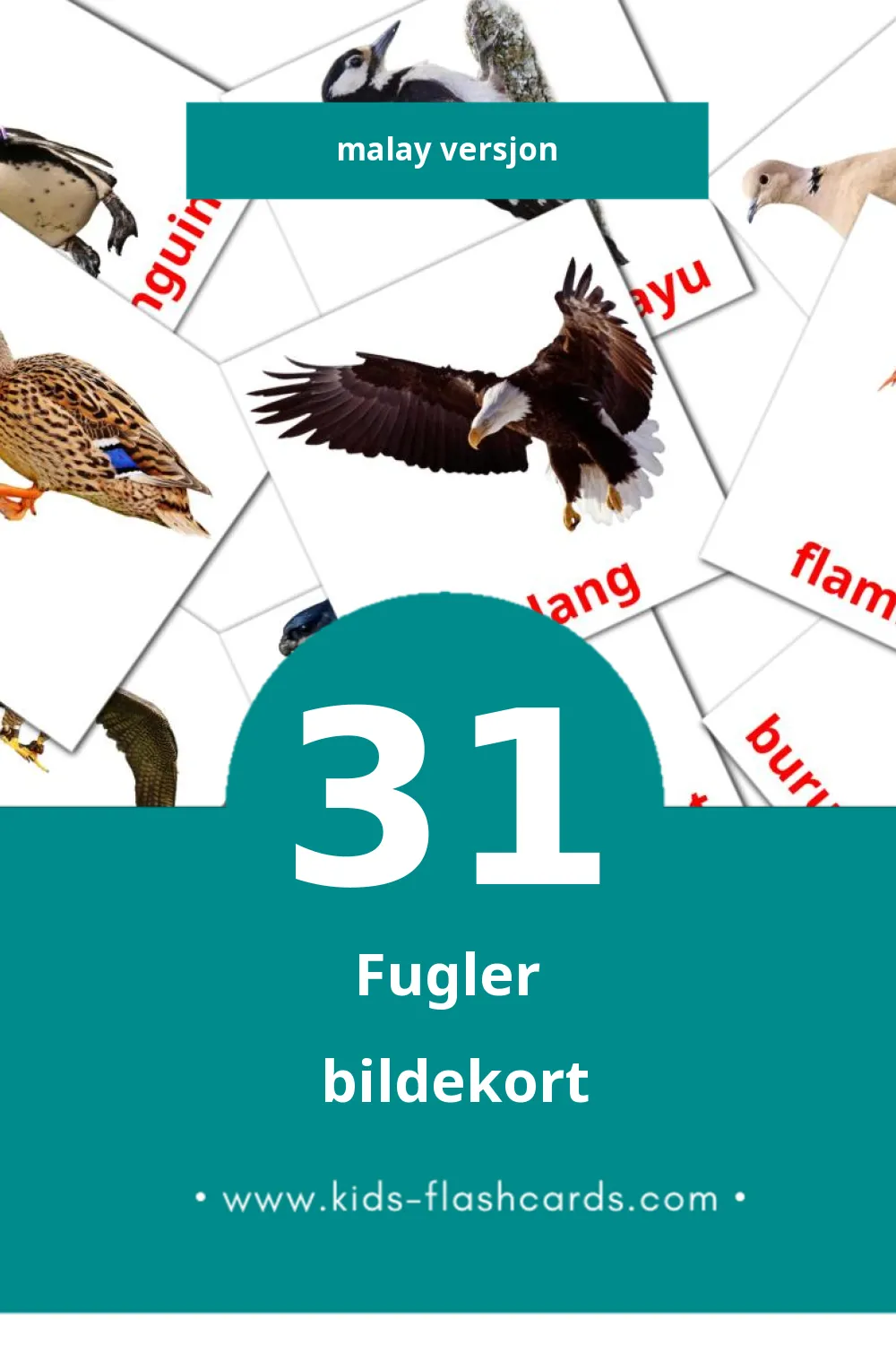 Visuelle burung  bildekort for småbarn (31 kort på Malay)