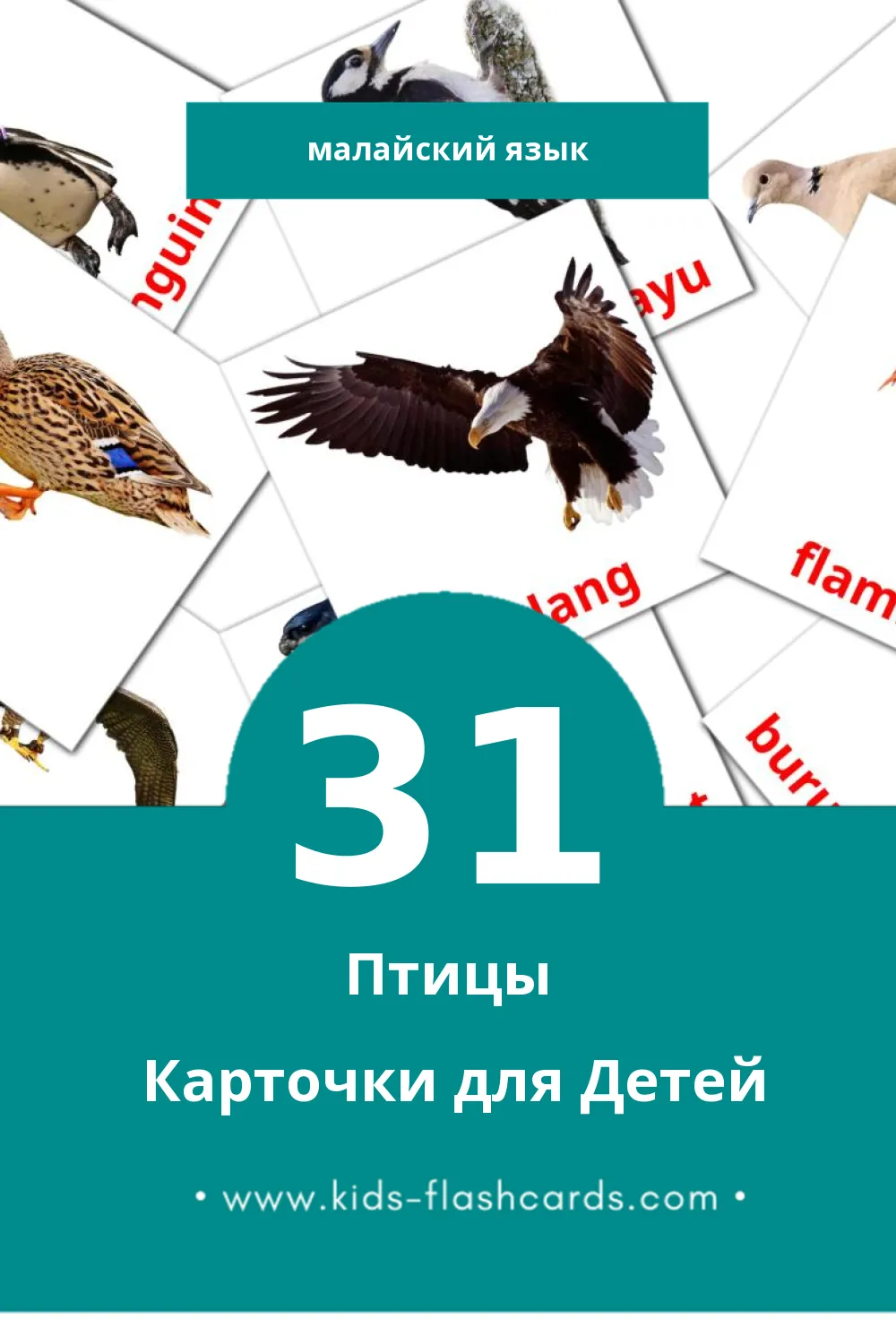 "burung " - Визуальный Малайском Словарь для Малышей (31 картинок)