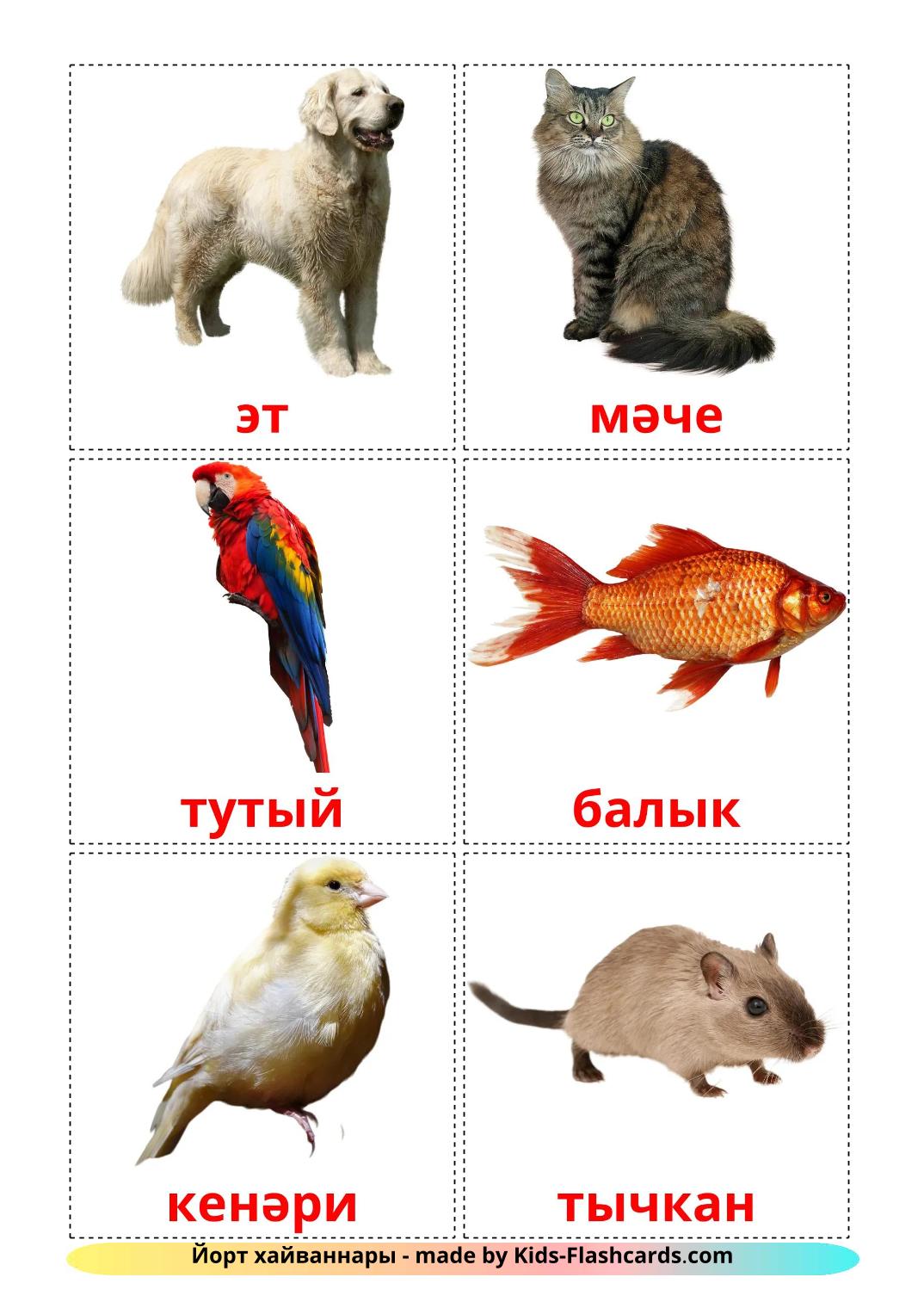 Domestic animals - 11 Free Printable tatar Flashcards 