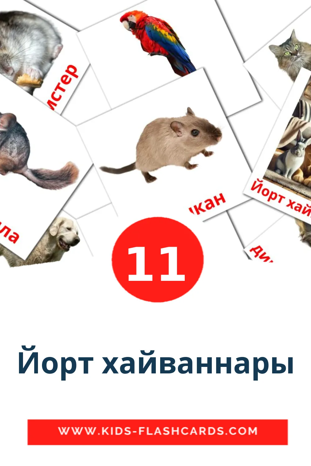 11 Йорт хайваннары Picture Cards for Kindergarden in tatar