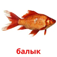 балык picture flashcards