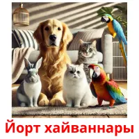 Йорт хайваннары picture flashcards