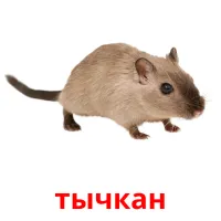 тычкан picture flashcards