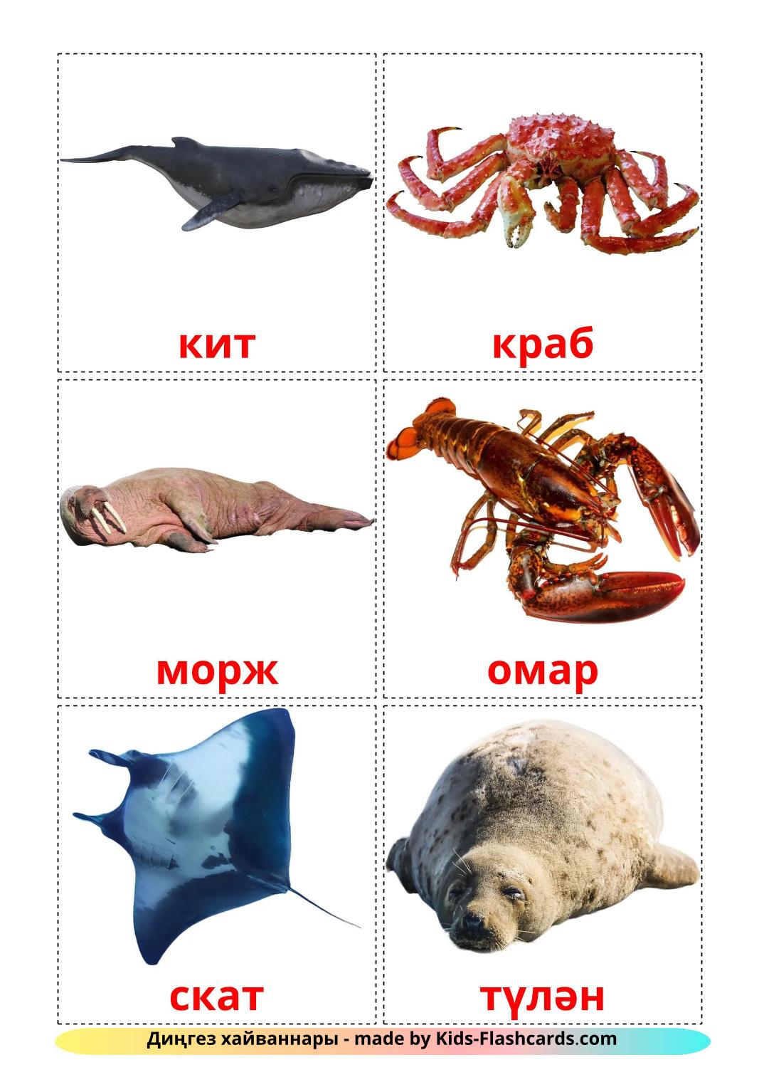 Sea animals - 30 Free Printable tatar Flashcards 