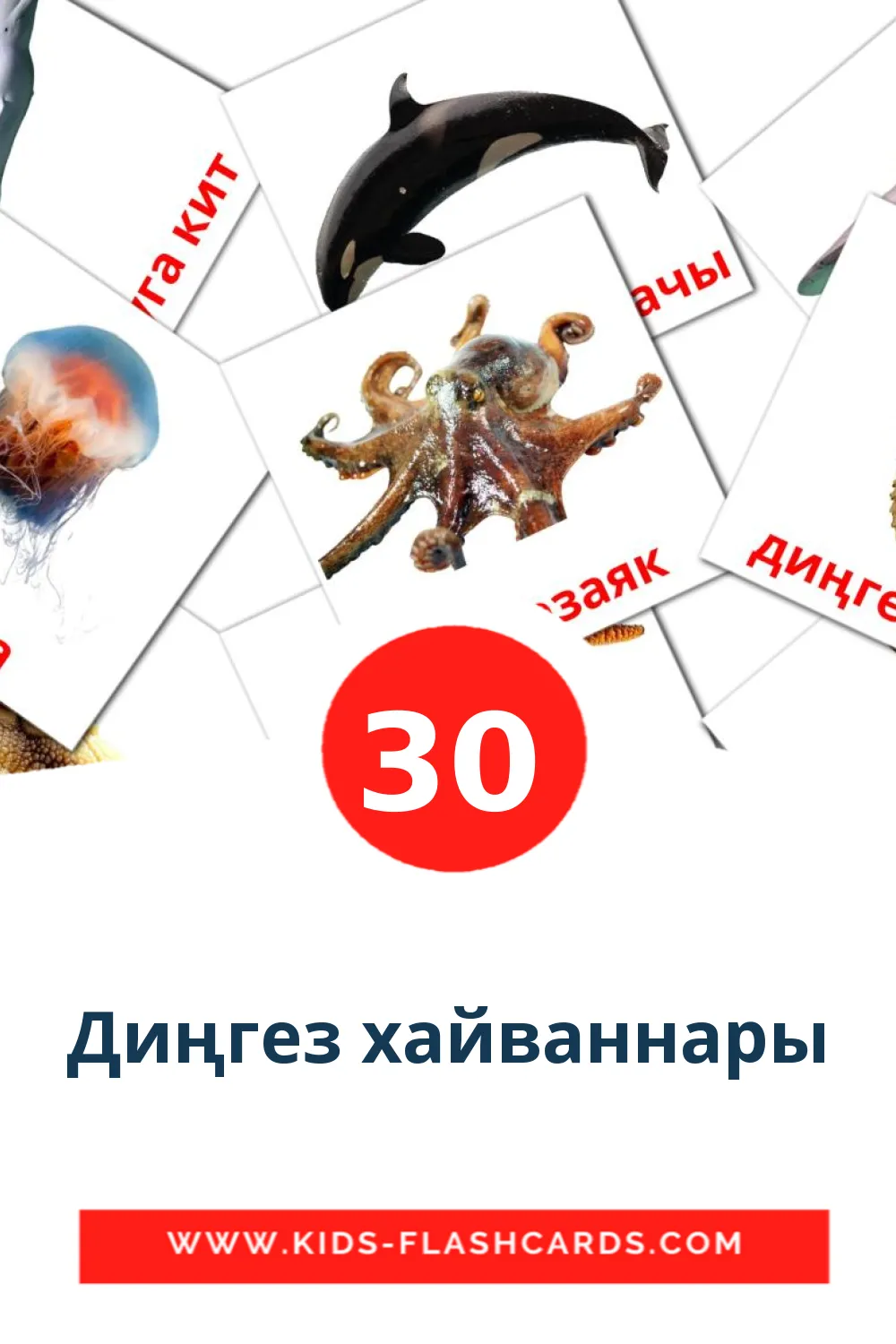 30 Диңгез хайваннары Picture Cards for Kindergarden in tatar