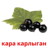 кара карлыган Bildkarteikarten