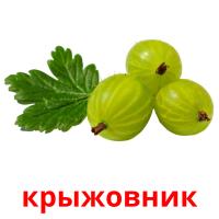 крыжовник card for translate