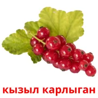 кызыл карлыган Bildkarteikarten