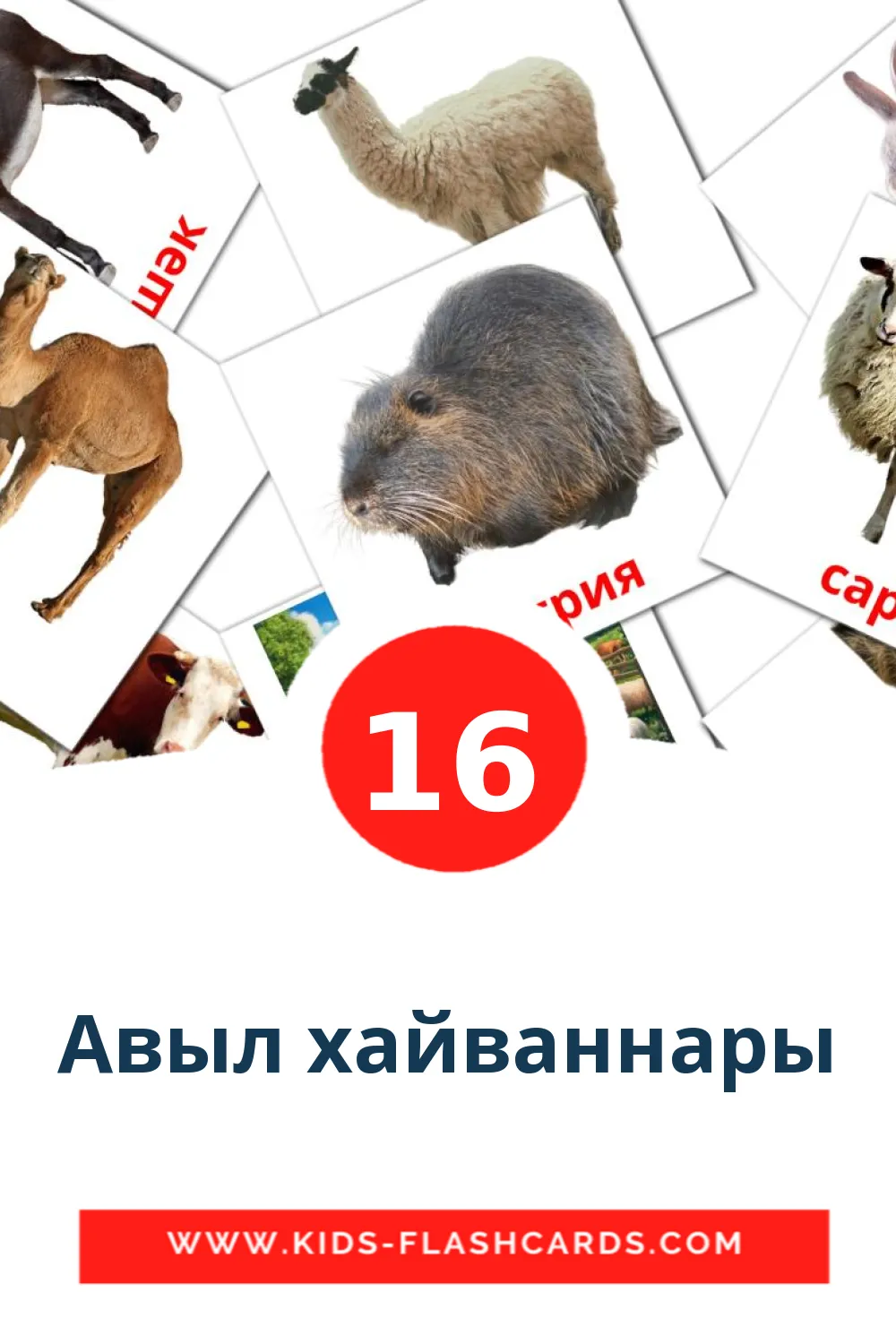 16 Авыл хайваннары Picture Cards for Kindergarden in tatar