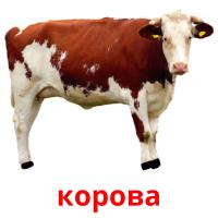 корова card for translate