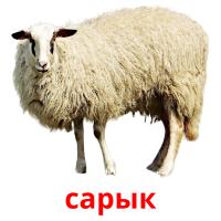 сарык picture flashcards
