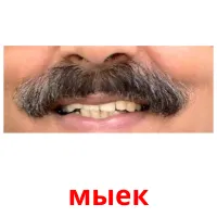 мыек Bildkarteikarten