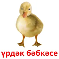 үрдәк бәбкәсе карточки энциклопедических знаний