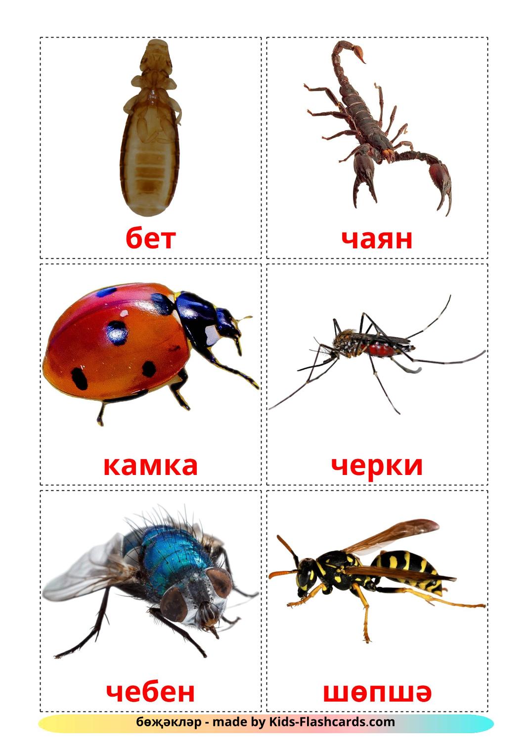 Les Insectes - 23 Flashcards tatar imprimables gratuitement