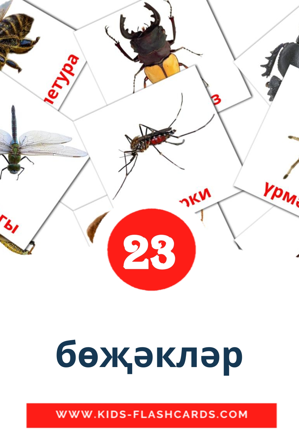23 cartes illustrées de Бөҗәкләр pour la maternelle en tatar