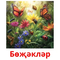 Бөҗәкләр picture flashcards