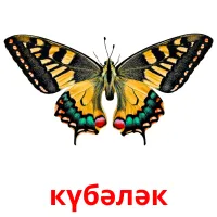 күбәләк picture flashcards