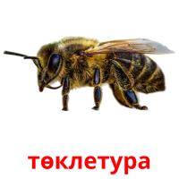 төклетура picture flashcards
