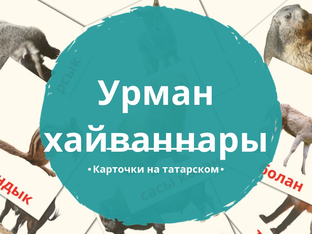 22 Бесплатные Карточки Лесные животные на Татарском | PDF