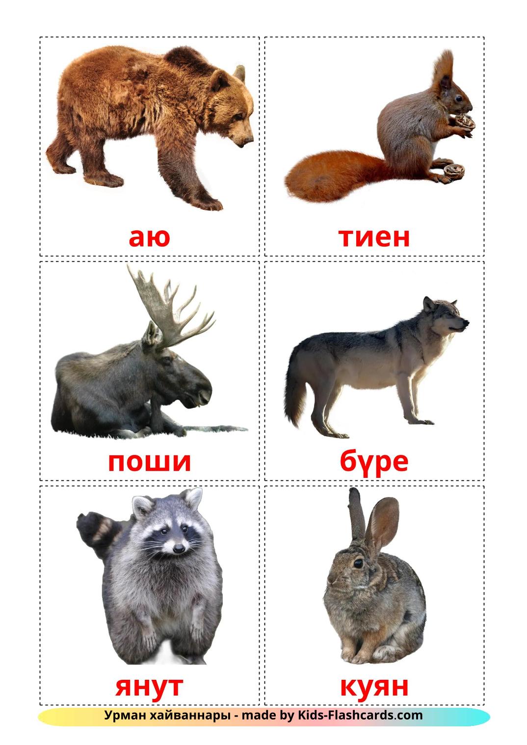 Forest animals - 23 Free Printable tatar Flashcards 